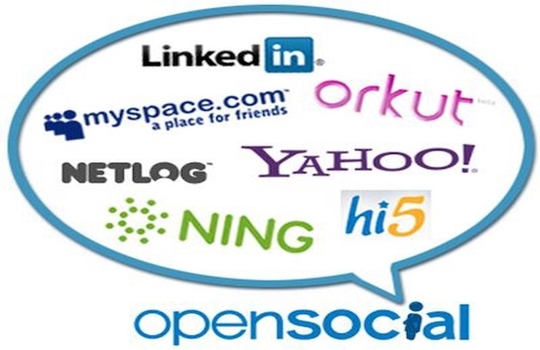 Is Google OpenSocial The Next Big Thing