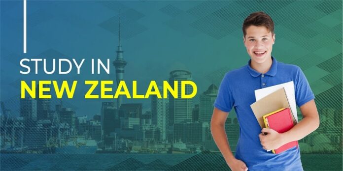 Undergraduate Study in New Zealand What are the advantage majors in New Zealand