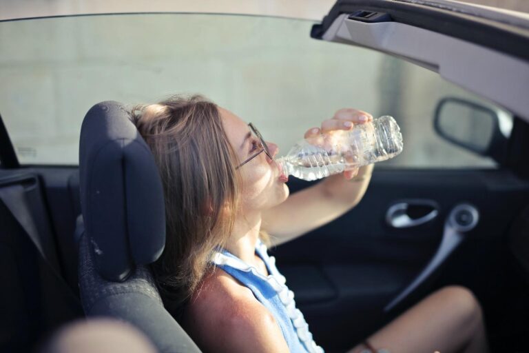 Protecting Your Car from the Dog Days of Summer