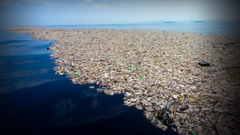 Marine Plastic Pollution: Ways to Prevent That by Using Masks Responsibly