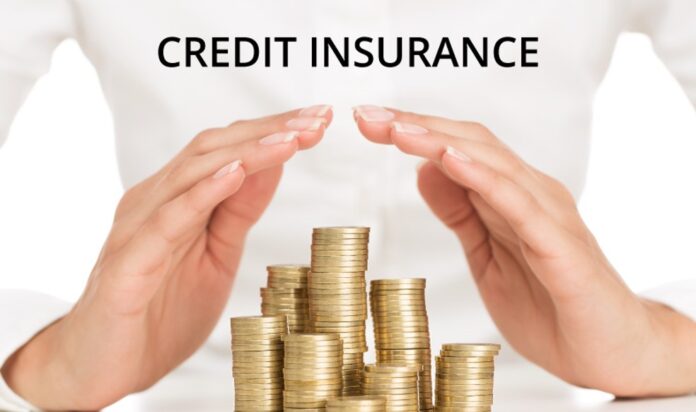 Reasons to Think About Credit Insurance