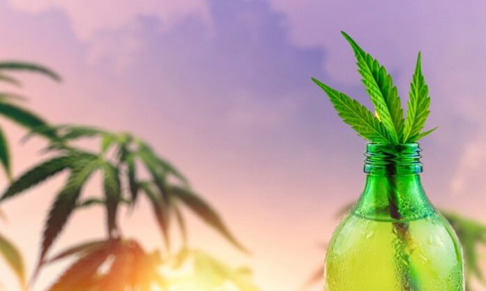 5 Benefits Of Drinking CBD Infused Drinks