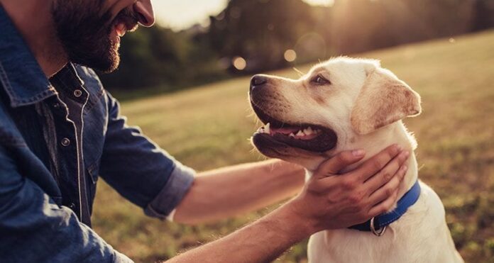 5 Ways To Keep Your Pets Happy And Healthy