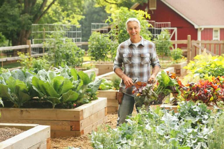 The Green-Minded Gardener’s Guide to Eco-Friendly Planting