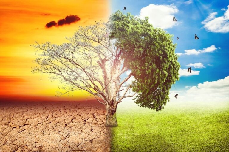 What Do You Require for Correct Climate Reporting?