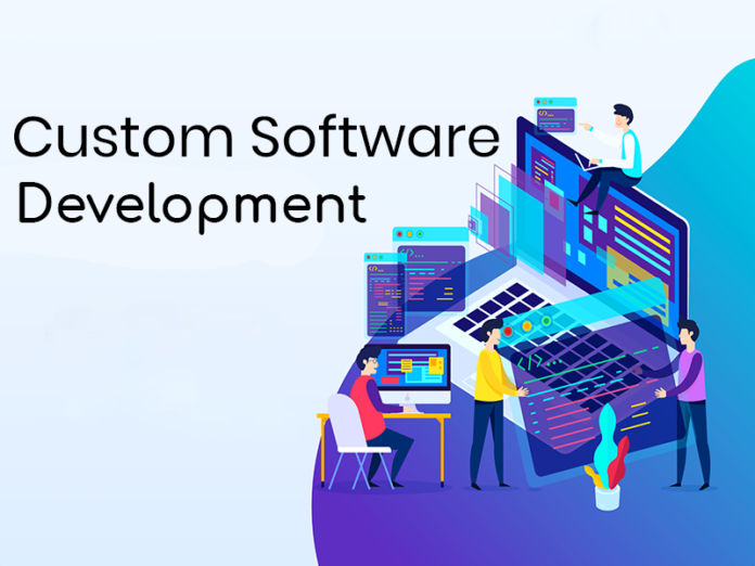 10 Steps on Development of Custom Software