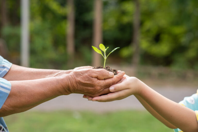 Some Amazing Facts about Regenerative Tourism