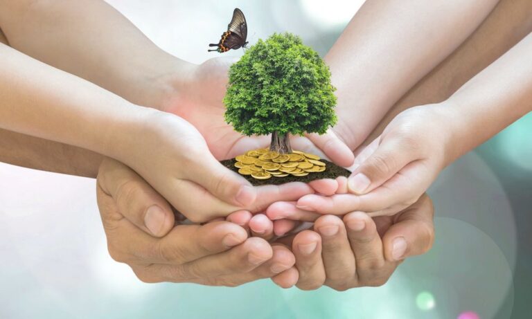 Why Eco-friendly Franchises are Trending Globally