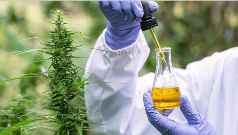 How Long Does CBD Last? The Basics Explained