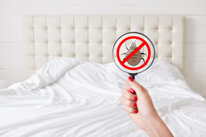 How To Prevent Bed Bugs In An Apartment?