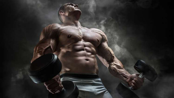 Why Do Athletes Need To Buy SARMs For Intensive Training
