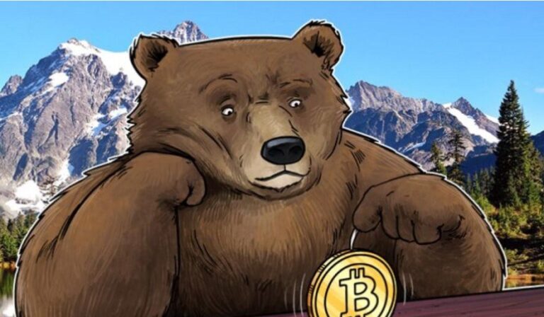 Tips To Survive The Crypto Bear Market