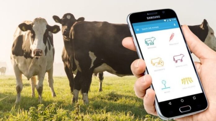 Cattle Tracking and Monitoring with LoRaWAN Devices
