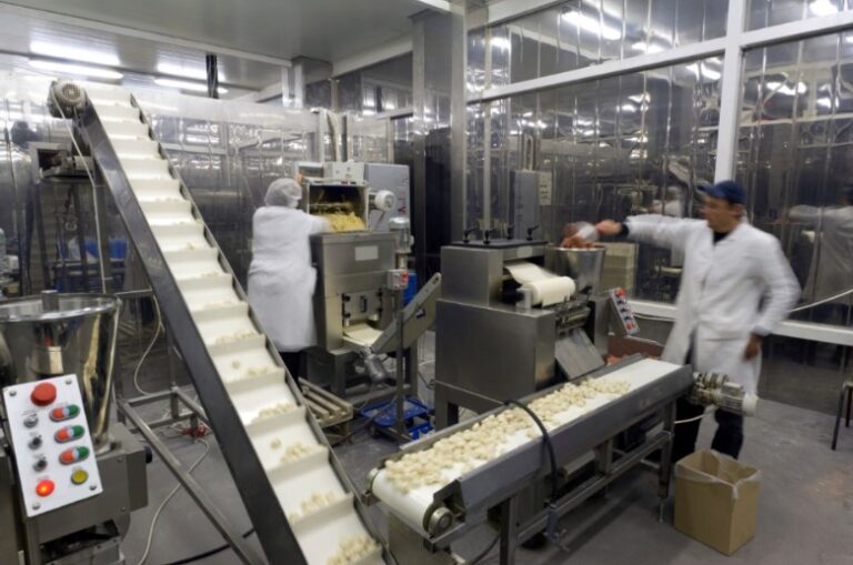 Guide to Metal Detection in the Food Industry