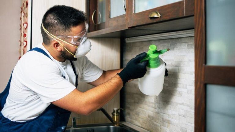 The Least Expensive Approaches to Pest Control Around