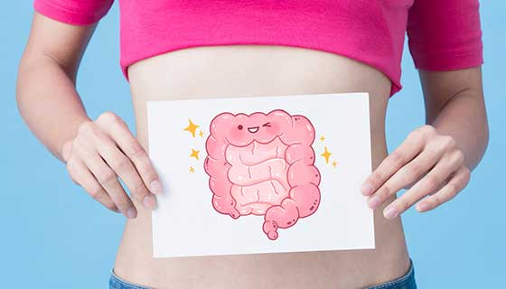 Supporting and Maintaining Gut Health
