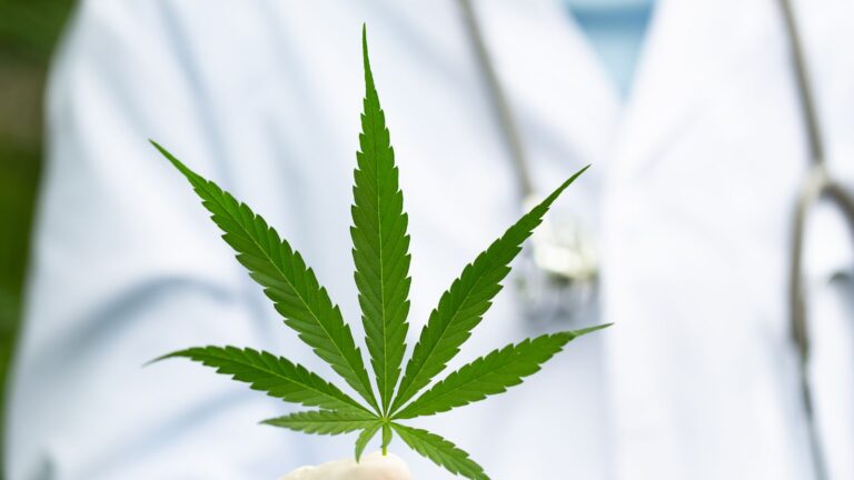 The Use of Medical Marijuana for Epilepsy: Can it Help Control Seizures?