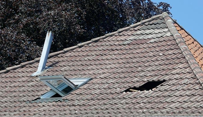 A Hole In Your Roof- It May Give Pest a Direct Access To Your House!
