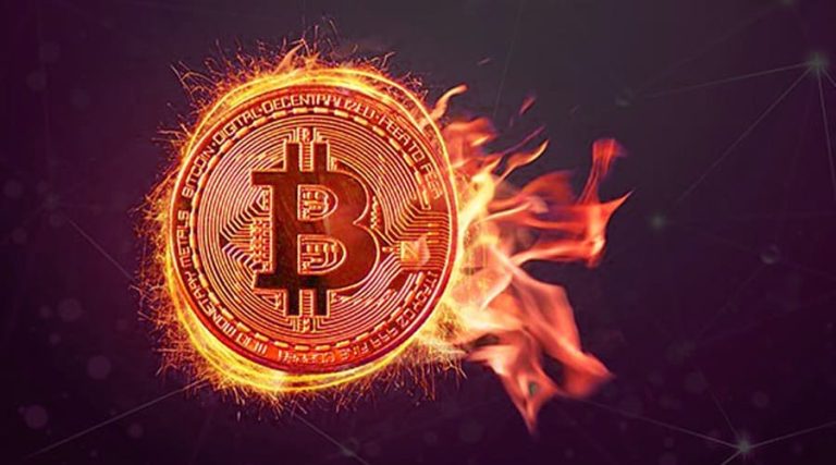 Why Burn Crypto