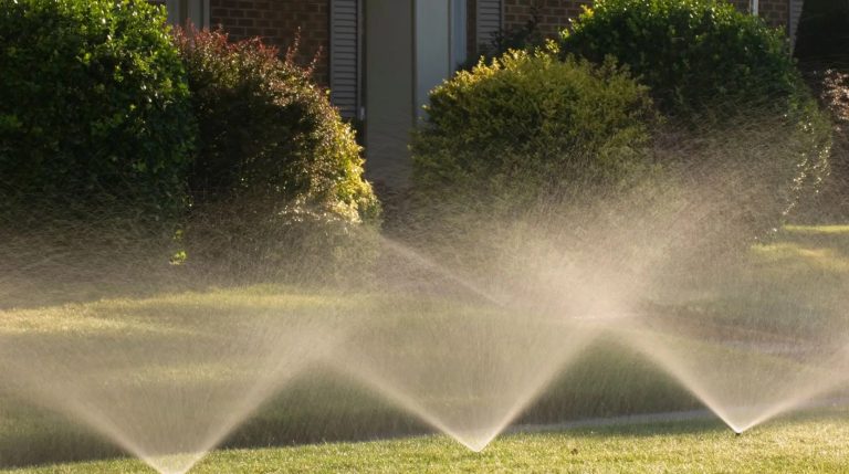 Optimizing Your Turf Watering Schedule