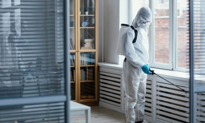 Innovative Pest Control Strategies for Urban Areas