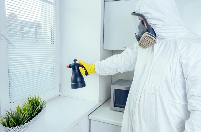 Innovative Pest Control Strategies for Urban Areas