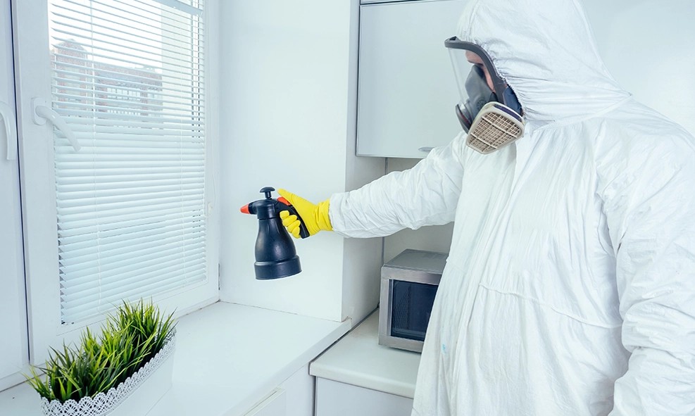 Innovative Pest Control Strategies for Urban Areas